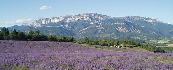 Une photo emblématique du territoire mesuré (Drôme)