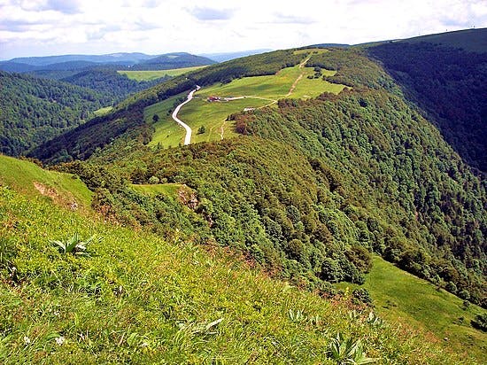 Une photo emblématique du territoire mesuré (Vosges)